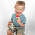 Load image into Gallery viewer, Sunny Pops Popsicle Molds
