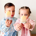 Load image into Gallery viewer, Sunny Pops Popsicle Molds
