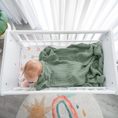 Load image into Gallery viewer, Baby Muslin Blanket in Fern
