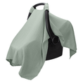 Load image into Gallery viewer, Baby Car Seat Cover in Fern
