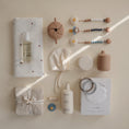 Load image into Gallery viewer, Silicone Pacifier Clip | Eva

