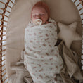 Load image into Gallery viewer, Star Lovey Blanket
