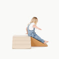 Load image into Gallery viewer, Wholesale Mini Climber Playset
