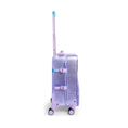 Load image into Gallery viewer, Logan Carry-On Suitcase
