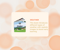 Load image into Gallery viewer, Montessori Educational Box (25-27 Months)
