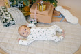 Load image into Gallery viewer, Tiny Trees Ribbed Bamboo Zippy Pajamas
