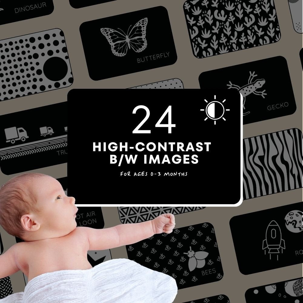 High-Contrast Vision Development Cards