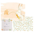 Load image into Gallery viewer, 2 PK Newborn Receiving Blankets | Baby Receiving/Swaddle Blankets
