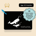 Load image into Gallery viewer, High-Contrast Vision Development Cards
