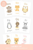 Load image into Gallery viewer, Alphabet Flashcards
