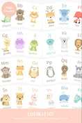 Load image into Gallery viewer, Alphabet Flashcards
