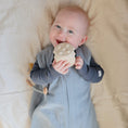 Load image into Gallery viewer, Silicone Pacifier Clip | Eva
