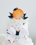 Load image into Gallery viewer, Little Clementine Diaper Cake
