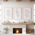 Load image into Gallery viewer, Black and White Botanical Prints. Modern Minimalist Line Art
