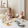 Load image into Gallery viewer, Round Dinnerware Plates
