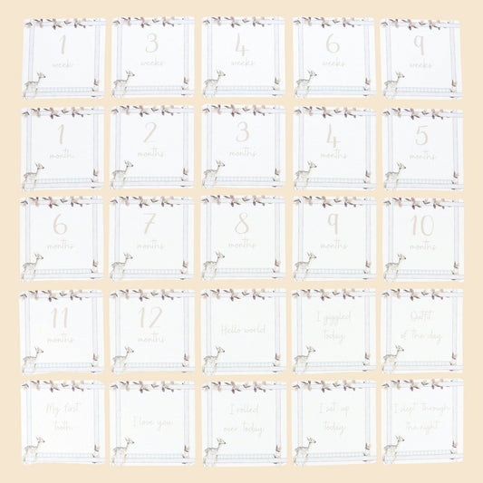 Infant Milestone + Memory Cards (0-12 months)