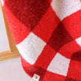 Load image into Gallery viewer, Plush Blanket | Scarlet Gingham

