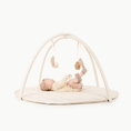 Load image into Gallery viewer, Wholesale Baby Activity Gym
